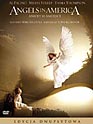 Angels in America