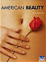 American Beauty
