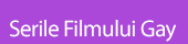 Serile Filmului Gay 2012